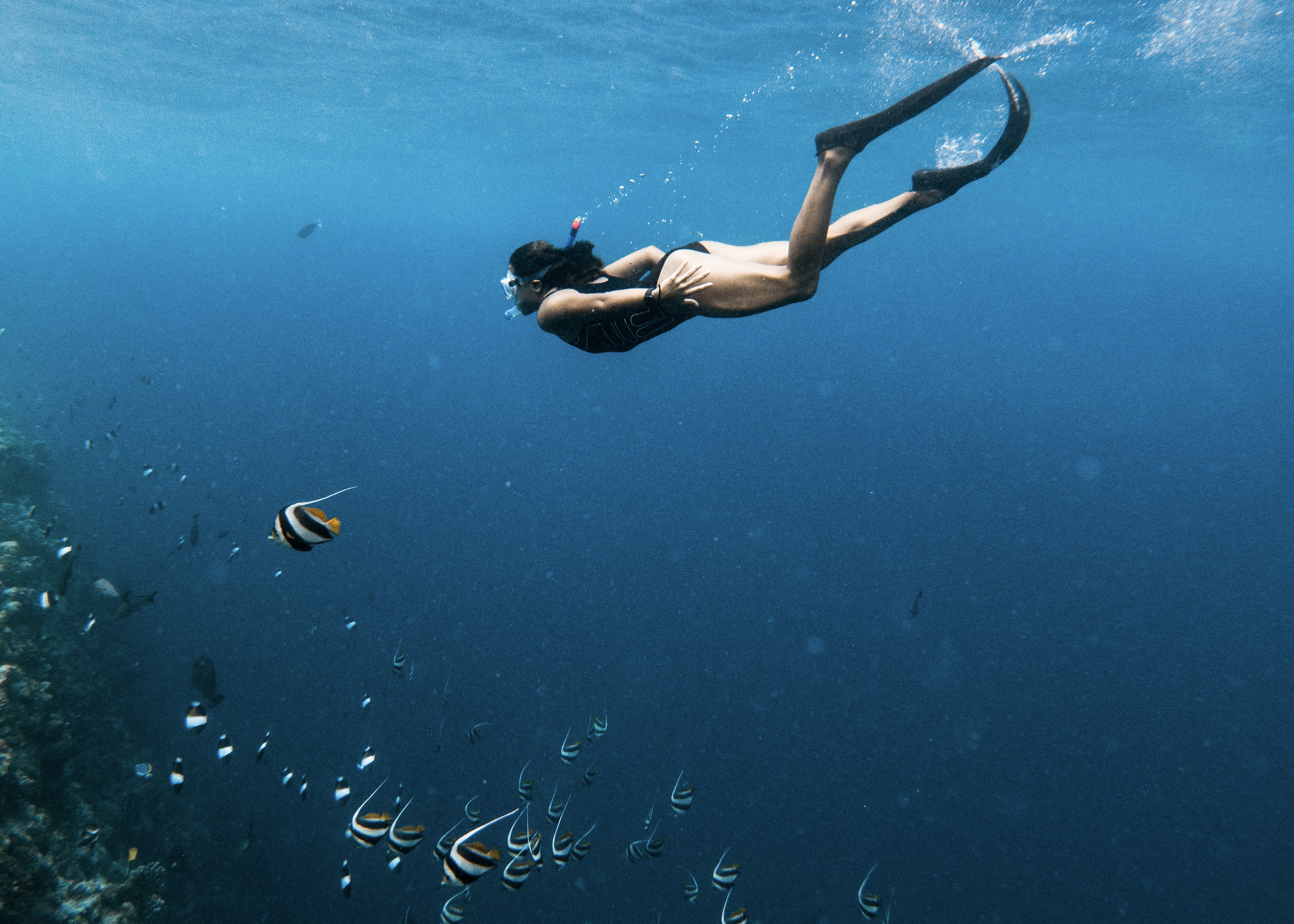 Snorkelling and diving over a coral reef in the Maldives on a private yacht charter