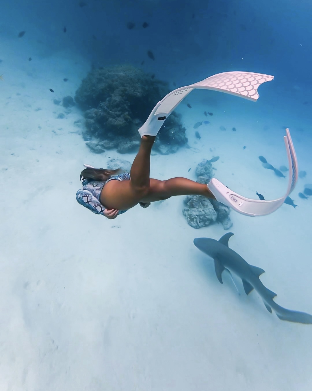 Couple snorkelling a private reef in the Maldives