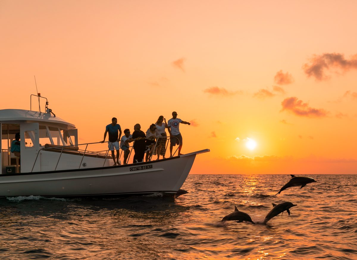 Spinner dolphins beside a private boat in the Maldives